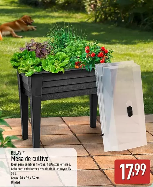 Belavi - Mesa De Cultivo