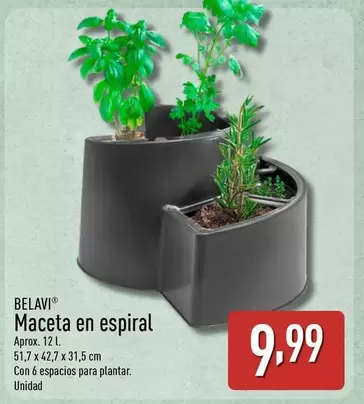 Belavi - Maceta En Espiral