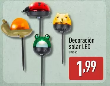 Decoración Solar LED