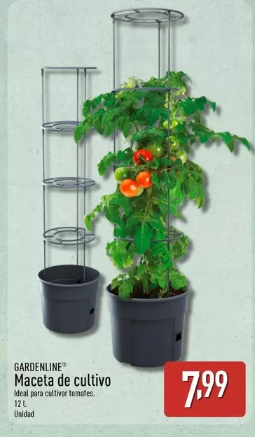 Gardenline - Maceta De Cultivo