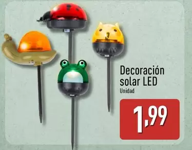 Decoración Solar LED