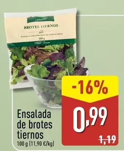 Ensalada De Brotes Tiernos