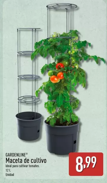 Gardenline - Maceta De Cultivo