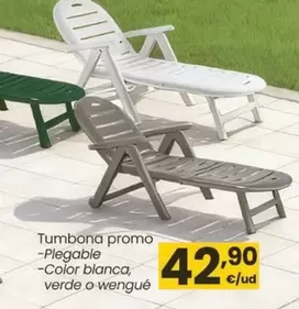 Tumbona Promo Plegable 