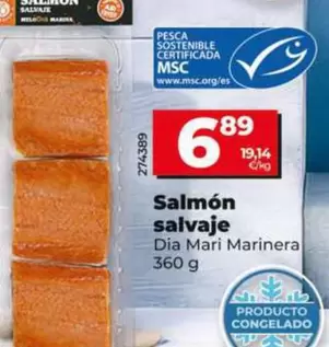 Dia Mari Marinera - Salmón Salvaje 