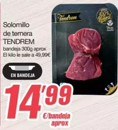 Tendrem - Solomillo De Ternera
