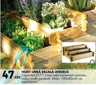 Hort Urbà Escala Angelic