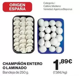 origen - Champinon Entero O Laminado