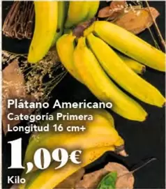 Platano Americano