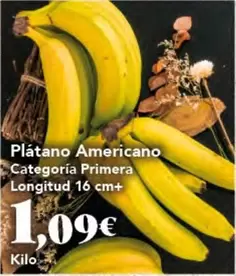 Platano Americano
