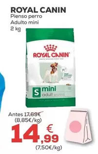 Royal Canin - Pienso Perro Adulto Mini