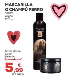 Yes!Ph - Mascarilla O Champu Perro