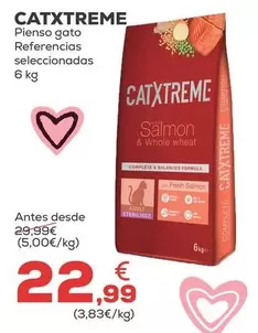 Catxtreme - Pienso Gato