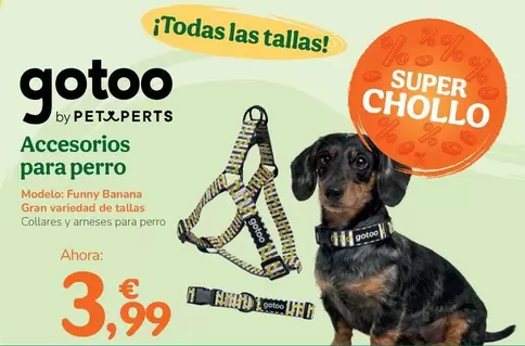 Gotoo - Accesorios Para Perro