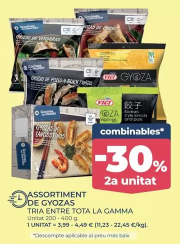 VICI - Assortiment De Gyozas