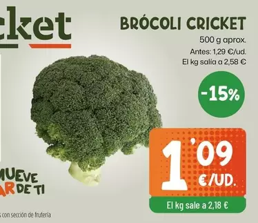 Brocoli Cricket