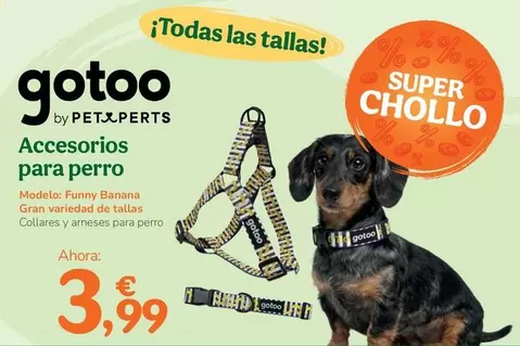 Accesorios Para Perro