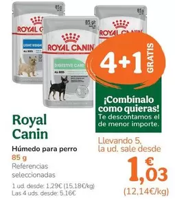 Royal Canin - Humedo Para Perro