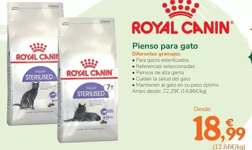 Royal Canin - Pienso Para Gato