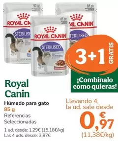 Royal Canin - Humedo Para Gato