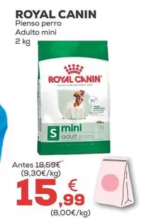 Royal Canin - Pienso Perro Adulto Mini