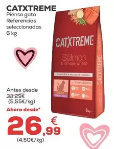 Catxtreme - Pienso Gato 
