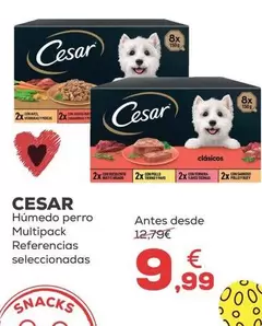 Cesar - Humedo Perro Multipack 