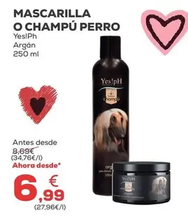 Yes!Ph - Mascarilla O Champu Perro