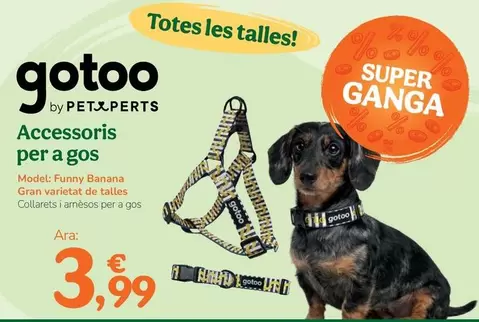 Gotoo - Accesorios Para Perro