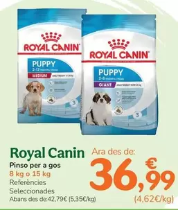 Royal Canin - Pienso Para Perro