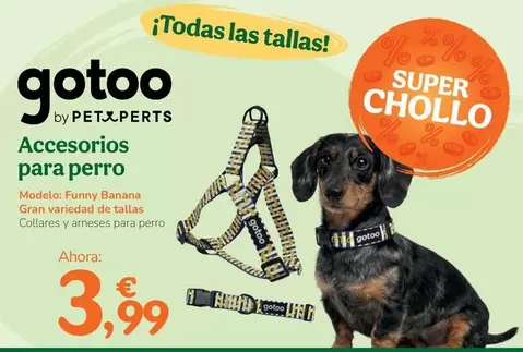 Accesorios Para Perro