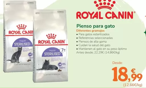 Royal Canin - Pienso Para Gato