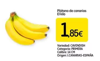Platano De Canarias