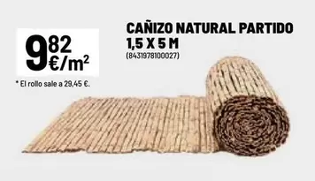 Canizo Natural Partido