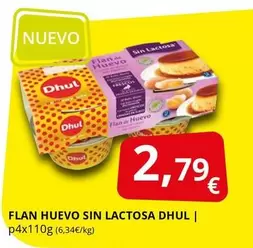 Dhul - Flan Huevo Sin Lactosa