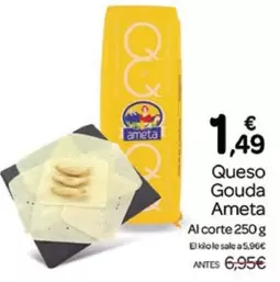 Ameta - Queso Gouda