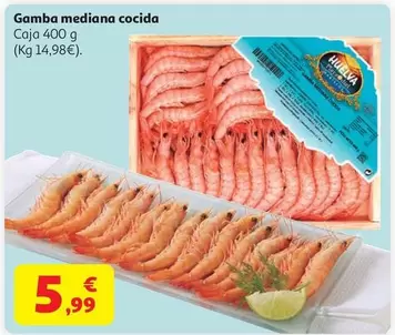 Gamba Mediana Cocida