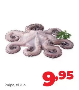 Pulpo