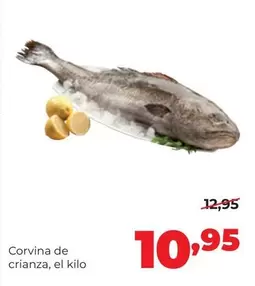 Alimerka - Corvina De Crianza