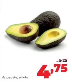 Aguacate