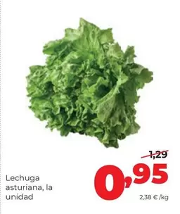 Lechuga Asturiana 