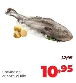 Alimerka - Corvina De Crianza