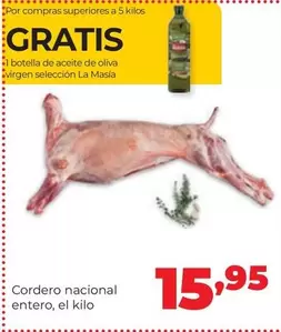 Cordero Nacional Entero