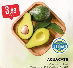 Aguacate
