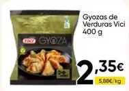 VICI - Gyozas De Verduras