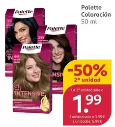 Palette - Coloracion