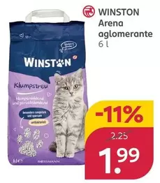 Winston - Arena Aglomerante