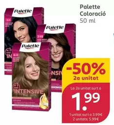 Palette - Coloracion