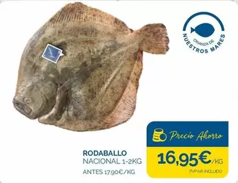 Rodaballo
