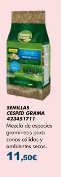 Semillas Cesped Grama